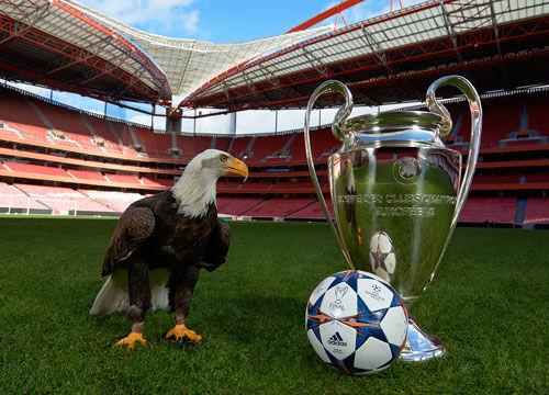 官方：因球场结冰和严重风雪，不莱梅vs霍芬海姆